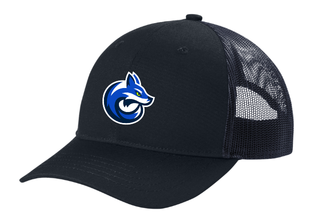 Blue Fox Hat